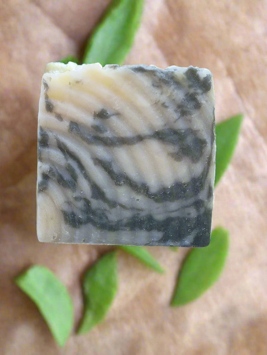 Aloe Vera & Seamoss Soap